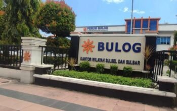 Polda Sulsel Hadir di Lahan Petani, Bulog Gandeng Polri Serap Jagung 306,85 Ton