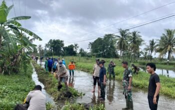 TNI-Polri dan Pemerintah Kecamatan Ma’rang Gelar Kerja Bakti Gabungan Program GERAKAN ASRI, Bersihkan Saluran Air Daerah Rawan Banjir
