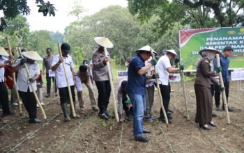 Polda Sulsel Tanam Jagung di Lahan 812 Hektar Pada Kuartal 1 Tahun 2026