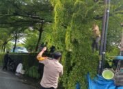 Bhabinkamtibmas Kelurahan Mappasaile bersama staf kelurahan lakukan pemangkasan ranting di jembatan baru Jl. Jeruk