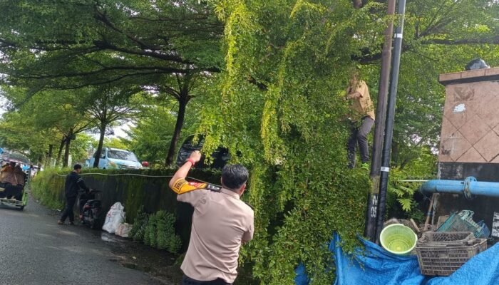 Bhabinkamtibmas Kelurahan Mappasaile bersama staf kelurahan lakukan pemangkasan ranting di jembatan baru Jl. Jeruk
