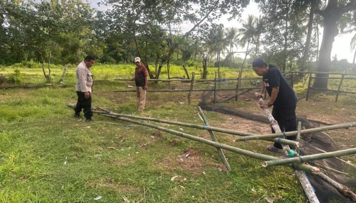 Tindak Tegas Praktik Perjudian, Kapolsek Ma’rang Bongkar Arena Sabung Ayam di Kampung Ujung