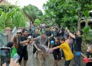 Wabup Barru Hadiri Pesta Panen Paenge Ma’jimpo-jimpo, Serahkan Sertifikat WBTb dan Dorong Jadi Ikon Wisata Budaya