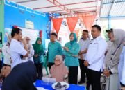 Peringati Hari Posyandu Nasional, Pangkep Gelar Posyandu Era Baru Serentak di 103 Desa-Kelurahan Layani Enam SPM