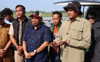 Amankan 5.000 Hektar Sawah Kementan Gelar Gerdal Massal di Pinrang ​