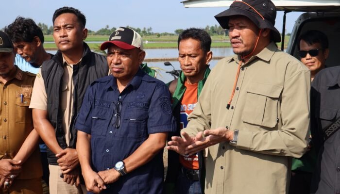 Amankan 5.000 Hektar Sawah Kementan Gelar Gerdal Massal di Pinrang ​