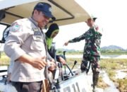 Bhabinkamtibmas Mappasaile Dampingi Penyuluh Pertanian, Dukung Swasembada Pangan di Pangkajene