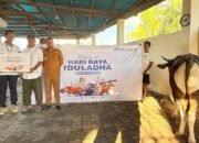 Jelang Idul Adha, Pelindo Maumere Salurkan Hewan Kurban untuk Warga Sekitar Pelabuhan