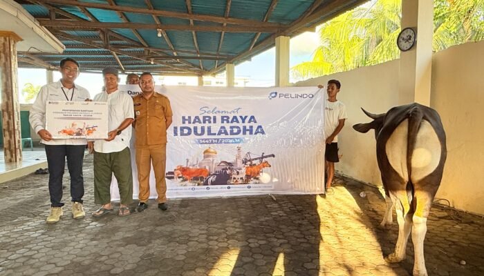 Jelang Idul Adha, Pelindo Maumere Salurkan Hewan Kurban untuk Warga Sekitar Pelabuhan