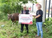 Momen Idul Adha, PT Semen Tonasa Salurkan Bantuan Hewan Qurban