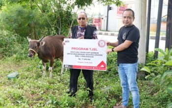 Momen Idul Adha, PT Semen Tonasa Salurkan Bantuan Hewan Qurban