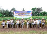 Panen Raya Jagung Serentak Kuartal II Tahun 2026, Kapolda Sulsel Dorong Ketahanan Pangan Nasional di Pangkep