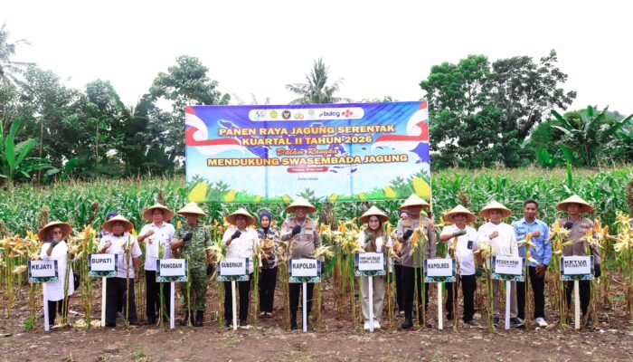 Panen Raya Jagung Serentak Kuartal II Tahun 2026, Kapolda Sulsel Dorong Ketahanan Pangan Nasional di Pangkep