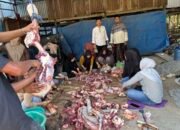 Kelurahan Bontoa Terima Sapi Kurban dari PT Semen Tonasa untuk Iduladha 1447 H
