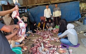 Kelurahan Bontoa Terima Sapi Kurban dari PT Semen Tonasa untuk Iduladha 1447 H