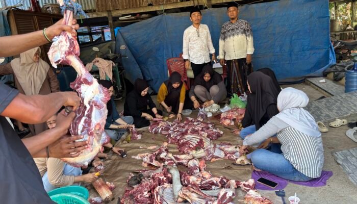 Kelurahan Bontoa Terima Sapi Kurban dari PT Semen Tonasa untuk Iduladha 1447 H