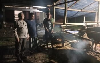 Patroli Malam Polsek Ma’rang Antisipasi Pencurian Ternak Jelang Idul Adha 1447 H
