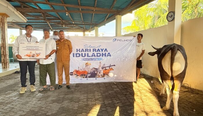 Jelang Idul Adha, Pelindo Maumere Salurkan Hewan Kurban untuk Warga Sekitar Pelabuhan