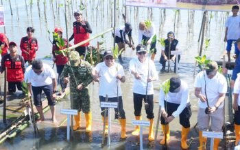 PT Semen Tonasa Berpartisipasi dalam Peringatan Hari Mangrove Sedunia 2026