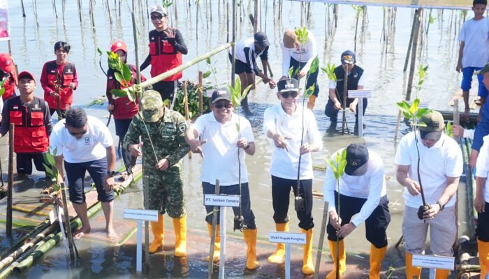 PT Semen Tonasa Berpartisipasi dalam Peringatan Hari Mangrove Sedunia 2026