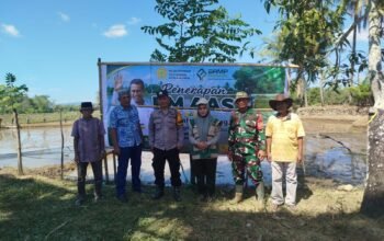 Bhabinkamtibmas Polsek Ma’rang Hadiri Penerapan PM AAS, Dukung Modernisasi Pertanian di Desa Alesipitto