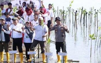 Wakapolres Pangkep Hadiri Penanaman Mangrove Peringati Hari Mangrove Sedunia 2026, Wujud Nyata Kepedulian Terhadap Lingkungan