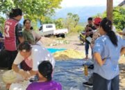Puluhan Perampuan di Ngada Ikut Pelatihan Pembuatan Pakan Fermentasi Untuk Ternak Babi