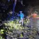respon cepat unit patroli sat lantas polres pangkep tangani pohon tumbang di minasatene