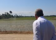 Pinrang Go Digital AI Drone Resmi Diuji Coba untuk Semprot Pupuk dan Pestisida