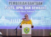 Sri Suparni Bahlil Serahkan Bantuan Listrik, PJUTS dan Sembako di Barru, Bupati Andi Ina Usulkan 245 Sambungan Listrik Baru