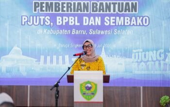 Sri Suparni Bahlil Serahkan Bantuan Listrik, PJUTS dan Sembako di Barru, Bupati Andi Ina Usulkan 245 Sambungan Listrik Baru