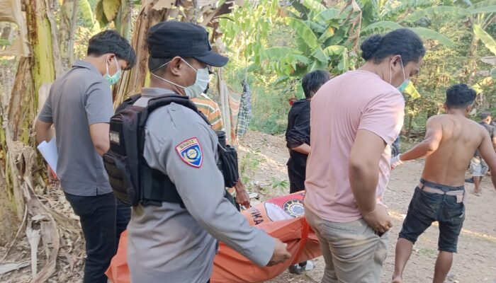 Diduga Tertimpa Batu Saat Bekerja, Seorang Pria di Balocci Ditemukan Meninggal di Kebun