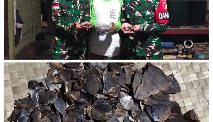 Peduli Satwa Dilindungi, Warga Perbatasan Serahkan 1 Kg Sisik Trenggiling ke Satgas Pamtas RI-Malaysia Yonarmed 19/Bogani