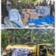 SAMDHANA INSTITUTE Berkolaborasi Dengan Yayasan PAPHA Indonesia Distribusi Bantuan Kemanusiaan Bagi Masyarakat Terdampak Desa Mekendetung Sikka