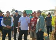 Tekan Biaya dan Hemat Waktu Wabup Pinrang Tinjau Penyemprotan Insektisida Pakai Drone