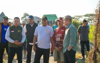 Tekan Biaya dan Hemat Waktu Wabup Pinrang Tinjau Penyemprotan Insektisida Pakai Drone