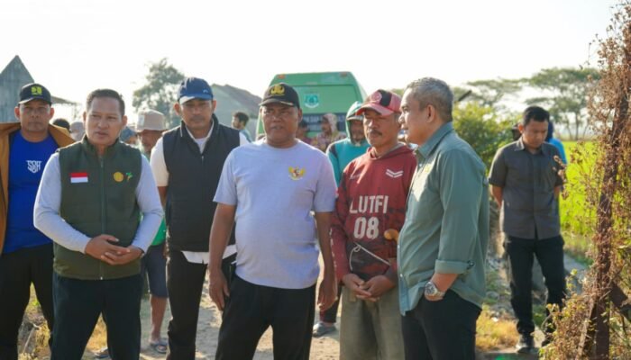 Tekan Biaya dan Hemat Waktu Wabup Pinrang Tinjau Penyemprotan Insektisida Pakai Drone
