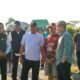 Tekan Biaya dan Hemat Waktu Wabup Pinrang Tinjau Penyemprotan Insektisida Pakai Drone