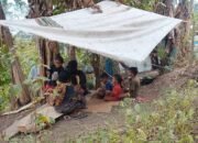 Bertahan di Tenda Terpal dan Karung Bekas, Warga Terisolir Bora Blupur Sikka Melewati Malam Tanpa Listrik