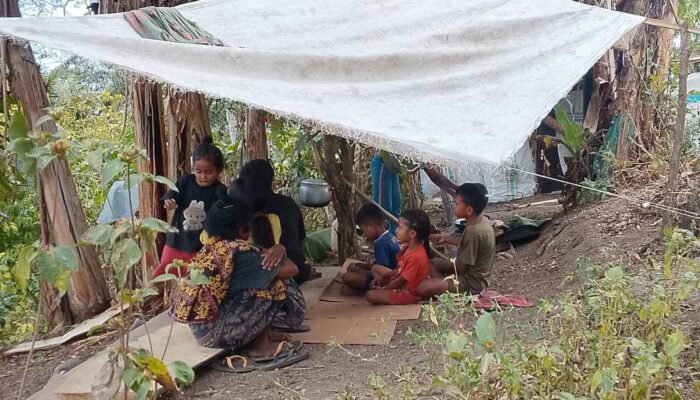 Bertahan di Tenda Terpal dan Karung Bekas, Warga Terisolir Bora Blupur Sikka Melewati Malam Tanpa Listrik