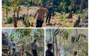 Tembus Medan Terjal Pegunungan Coppo Tompong, Kapolsek Mandalle Pimpin Langsung Pemadaman Karhutla 70 Are