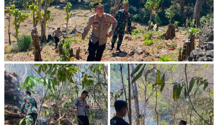 Tembus Medan Terjal Pegunungan Coppo Tompong, Kapolsek Mandalle Pimpin Langsung Pemadaman Karhutla 70 Are