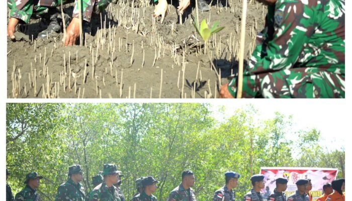 Sambut HUT ke-81 TNI, Kodim 1603/Sikka Tanam Bakau Jaga Kelestarian Pesisir Desa Reroroja