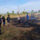 Respon Cepat Polsek Ma’rang Bersama Damkar dan Warga Padamkan Kebakaran Lahan Persawahan Kering di Talaka
