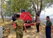 Cegah Api Meluas, Personel Polsek Minasatene Bersama TNI, Damkar dan Warga Padamkan Kebakaran Lahan