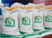 Respon Cepat Keluhan Beras Berkutu Bulog Pinrang Langsung Tuntaskan Penyaluran Beras Pengganti di Desa Mattombong