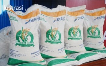 Respon Cepat Keluhan Beras Berkutu Bulog Pinrang Langsung Tuntaskan Penyaluran Beras Pengganti di Desa Mattombong