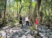 Personel Polsek Bungoro Tinjau Lokasi Kebakaran Hutan Lindung di Kampung Lampaniki