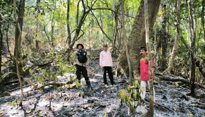 Personel Polsek Bungoro Tinjau Lokasi Kebakaran Hutan Lindung di Kampung Lampaniki
