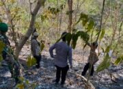 Kapolsek Mandalle Bersama TNI dan Warga Padamkan Kebakaran Hutan di Pegunungan Coppo Tompong